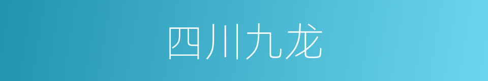 四川九龙的同义词