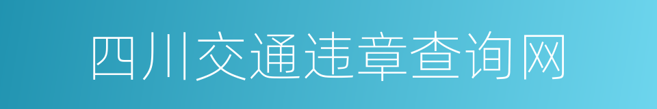 四川交通违章查询网的同义词