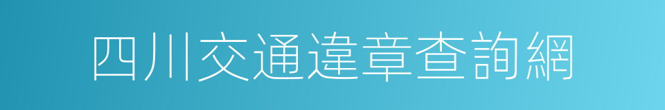 四川交通違章查詢網的同義詞