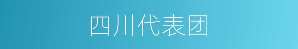 四川代表团的同义词