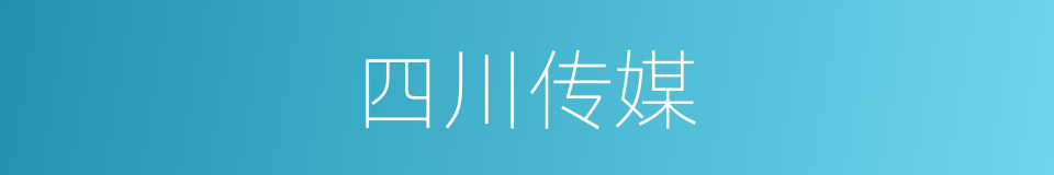 四川传媒的同义词