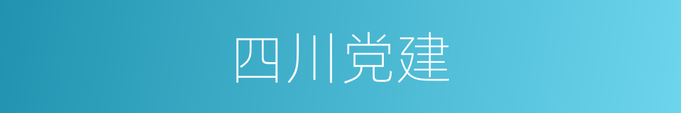 四川党建的同义词