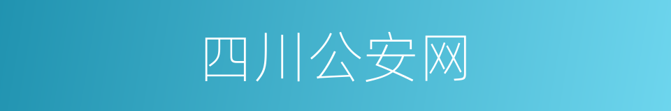 四川公安网的同义词