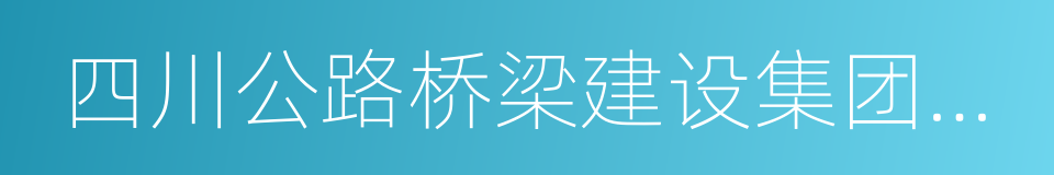 四川公路桥梁建设集团有限公司的同义词