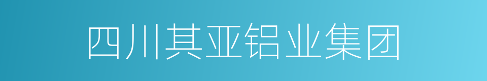 四川其亚铝业集团的同义词