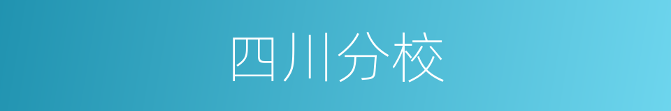 四川分校的同义词