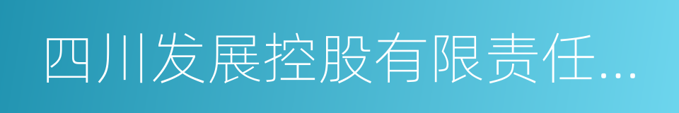 四川发展控股有限责任公司的同义词