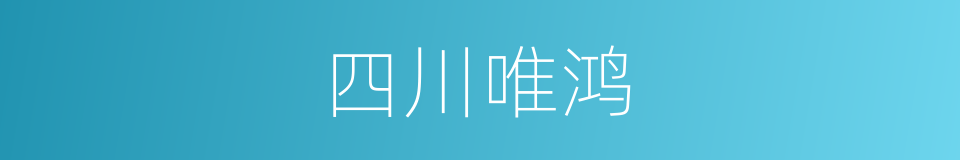 四川唯鸿的同义词