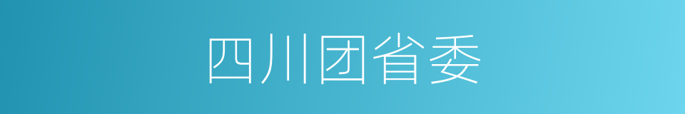 四川团省委的同义词