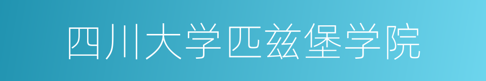 四川大学匹兹堡学院的同义词