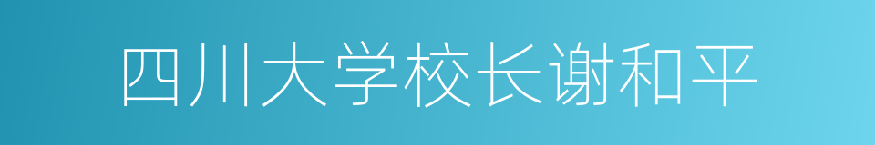 四川大学校长谢和平的同义词