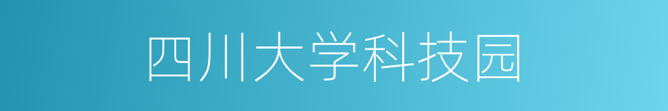 四川大学科技园的同义词