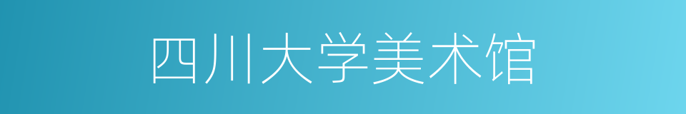 四川大学美术馆的同义词