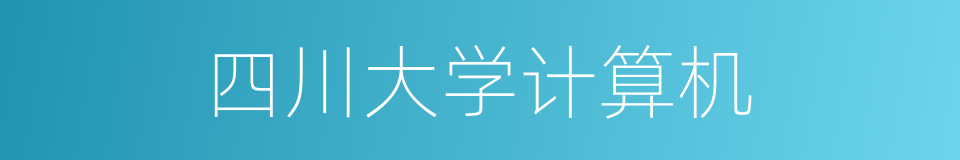 四川大学计算机的同义词