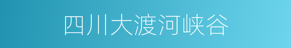 四川大渡河峡谷的同义词