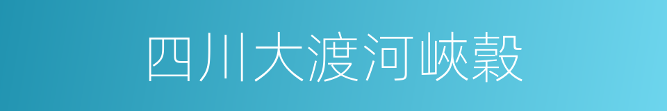 四川大渡河峽穀的同義詞