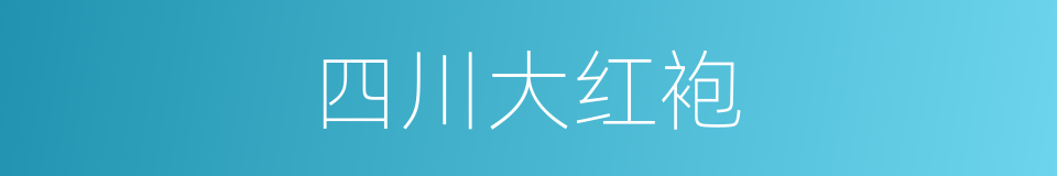 四川大红袍的同义词