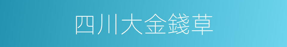 四川大金錢草的同義詞