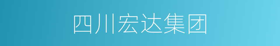 四川宏达集团的同义词
