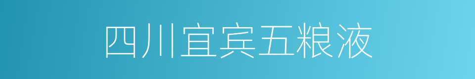 四川宜宾五粮液的同义词