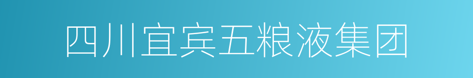 四川宜宾五粮液集团的同义词