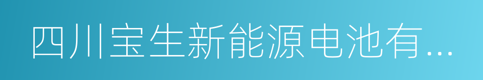 四川宝生新能源电池有限公司的同义词