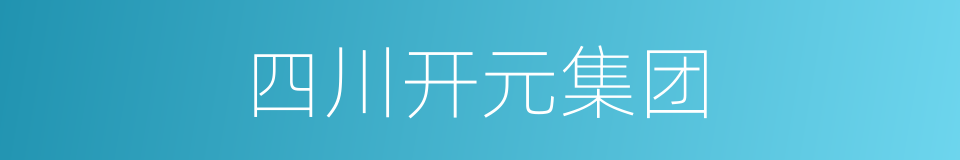 四川开元集团的同义词