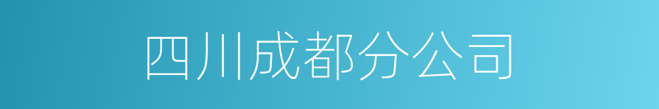 四川成都分公司的同义词