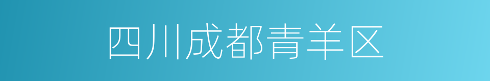 四川成都青羊区的同义词