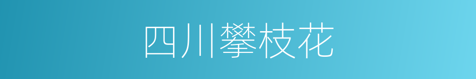 四川攀枝花的同义词