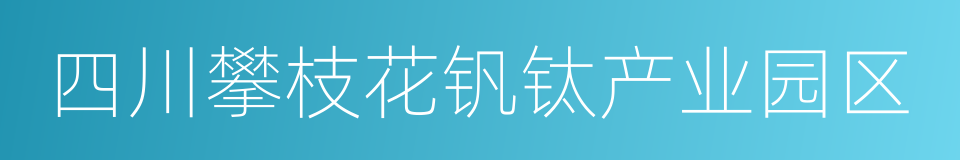 四川攀枝花钒钛产业园区的同义词