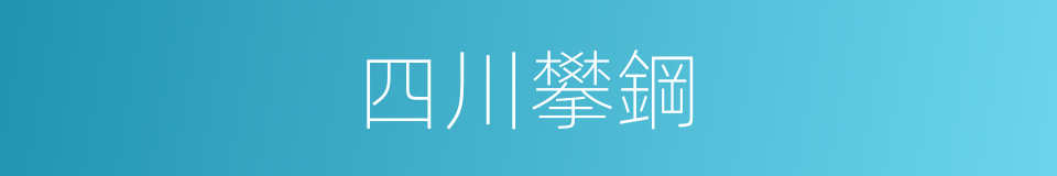 四川攀鋼的同義詞