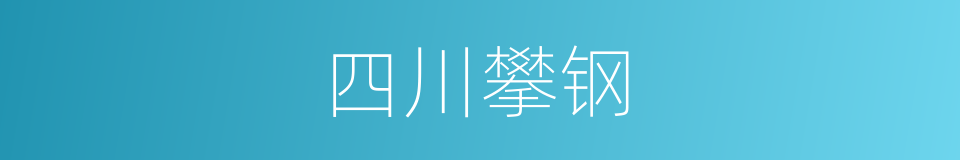 四川攀钢的同义词