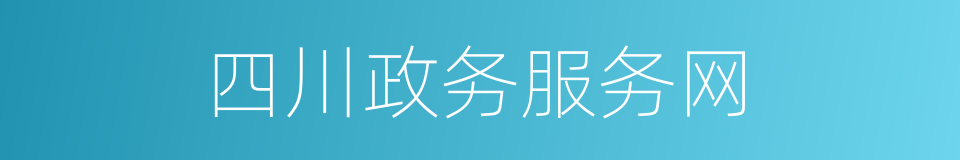 四川政务服务网的同义词