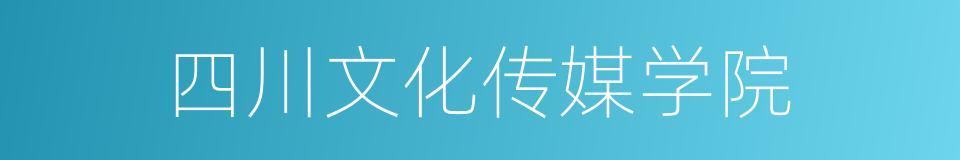 四川文化传媒学院的同义词