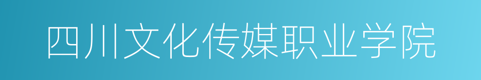 四川文化传媒职业学院的同义词