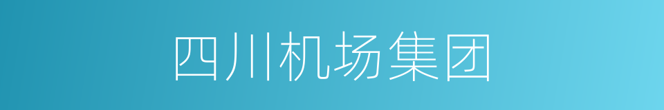 四川机场集团的同义词