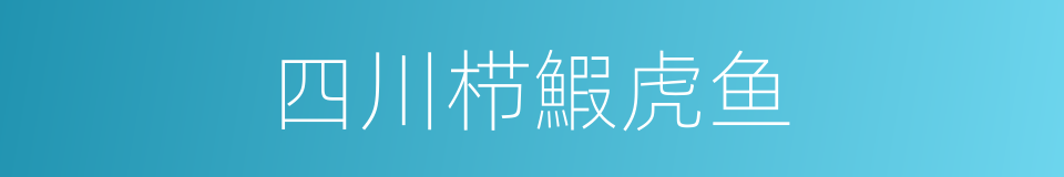 四川栉鰕虎鱼的同义词