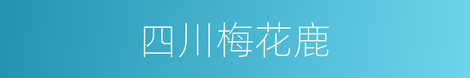 四川梅花鹿的同义词