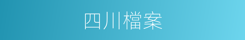 四川檔案的同義詞