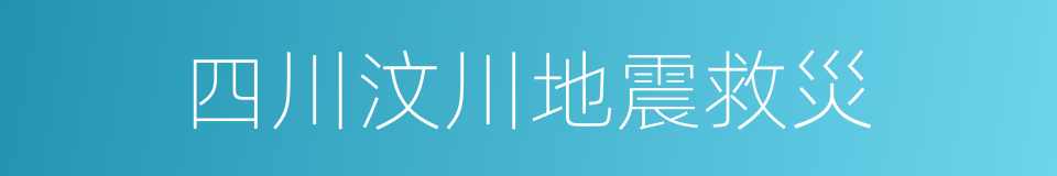 四川汶川地震救災的同義詞