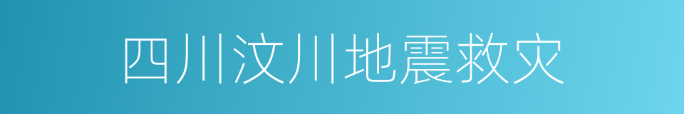 四川汶川地震救灾的同义词