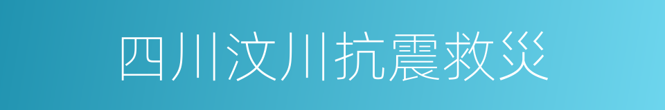 四川汶川抗震救災的同義詞