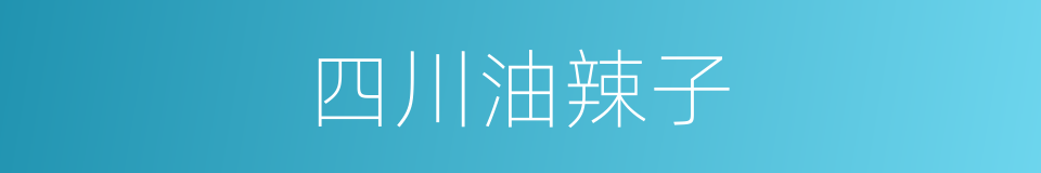 四川油辣子的同义词