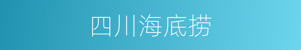 四川海底捞的同义词