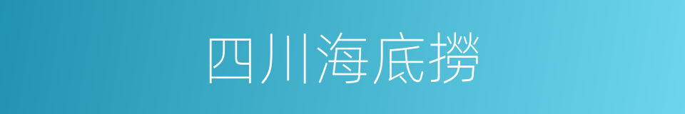 四川海底撈的同義詞