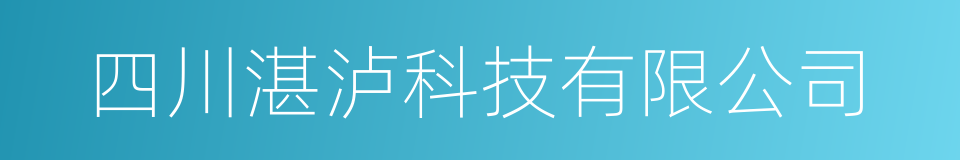 四川湛泸科技有限公司的同义词
