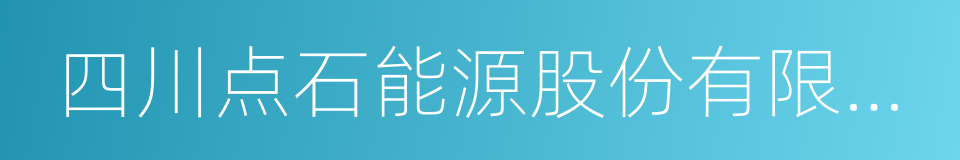 四川点石能源股份有限公司的同义词