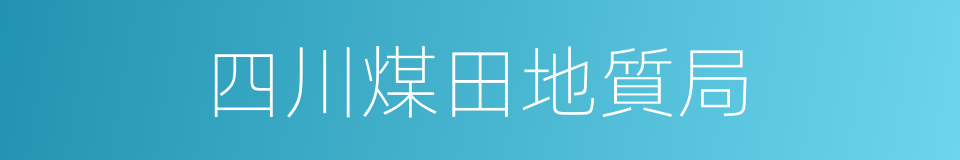 四川煤田地質局的同義詞