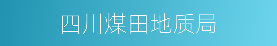 四川煤田地质局的同义词